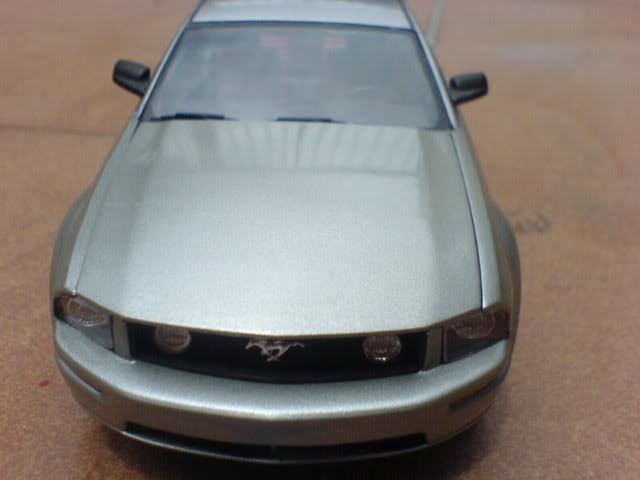 DSC01313.jpg