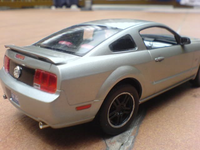 DSC01315.jpg