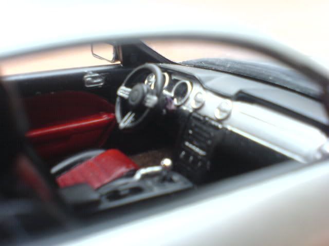 DSC01317.jpg