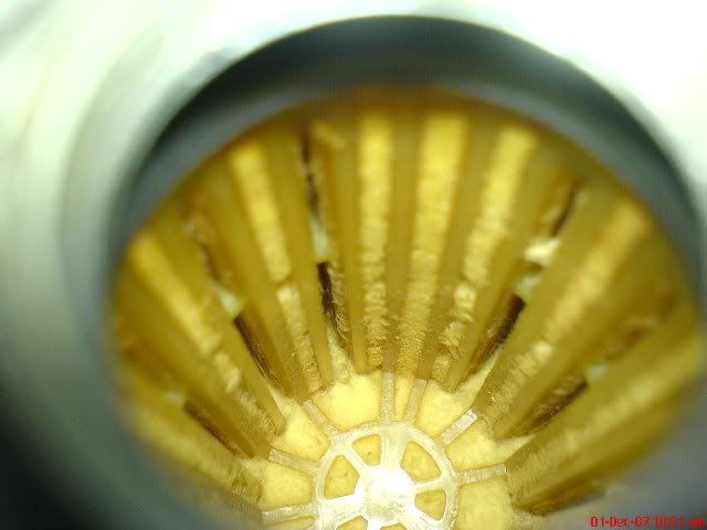 DSC01391.jpg