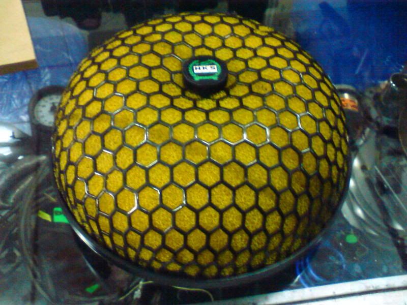 DSC01399.jpg