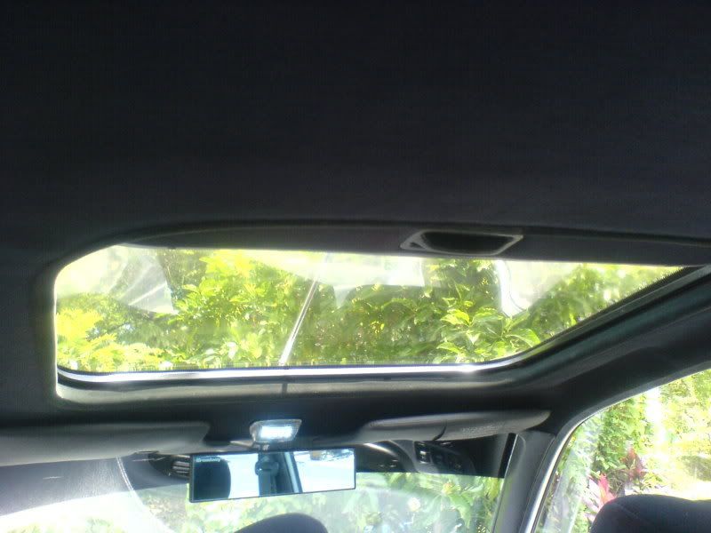 DSC01431.jpg