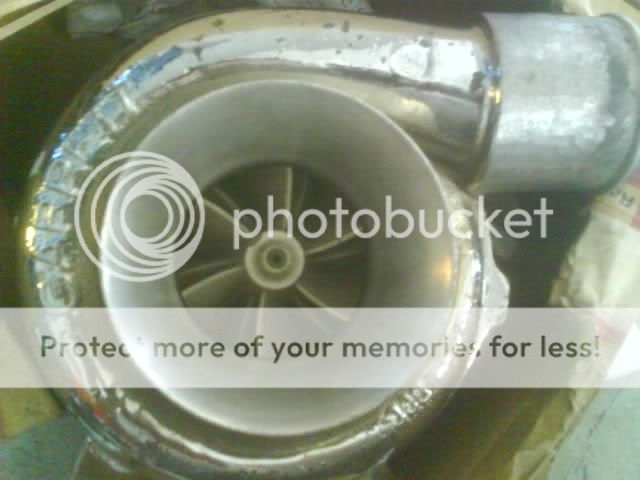 DSC01459.jpg