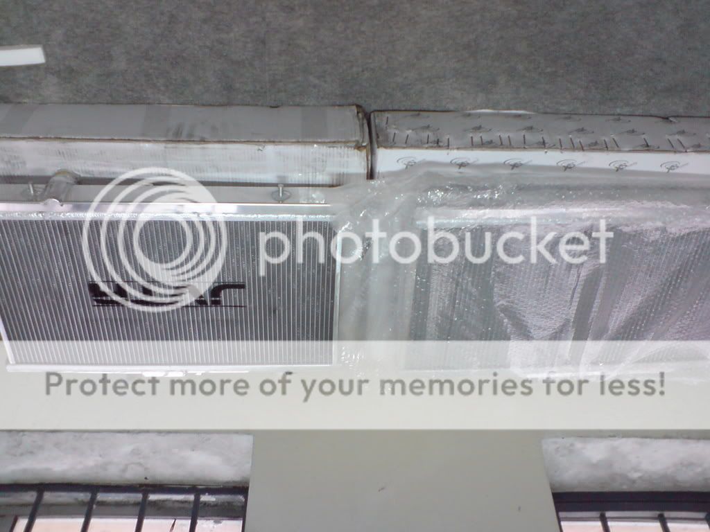 DSC01553.jpg