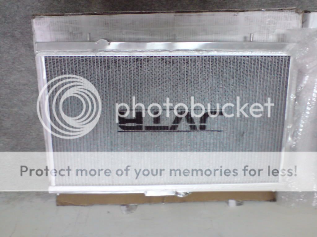 DSC01554.jpg