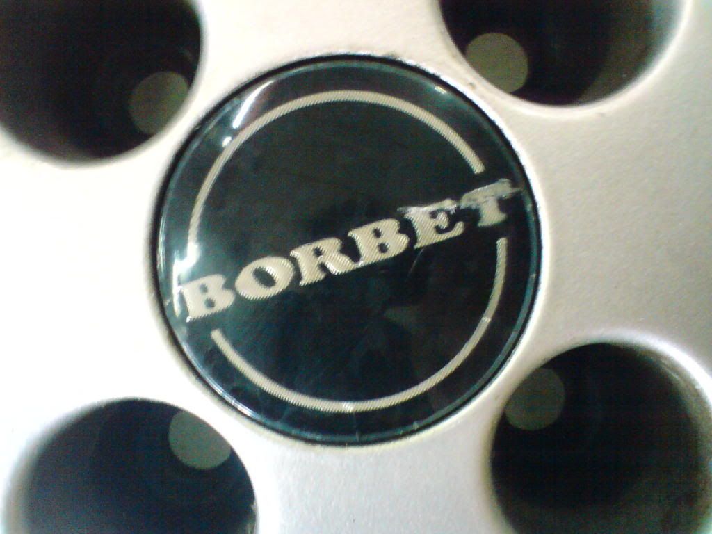 DSC01986.jpg