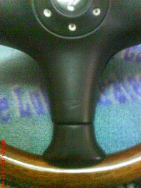 DSC02148.jpg