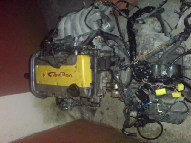 DSC02165.jpg
