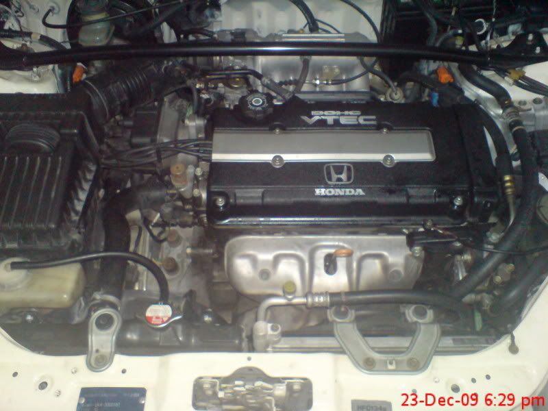 DSC02247.jpg