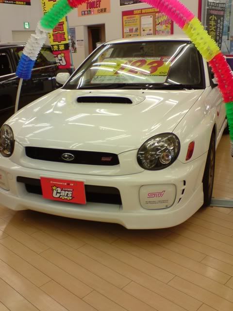 DSC02588.jpg