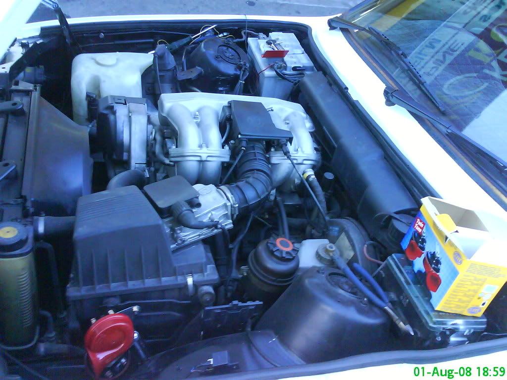 DSC03410-1.jpg