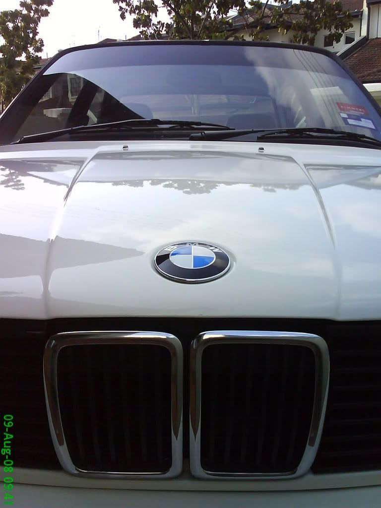 DSC03460.jpg