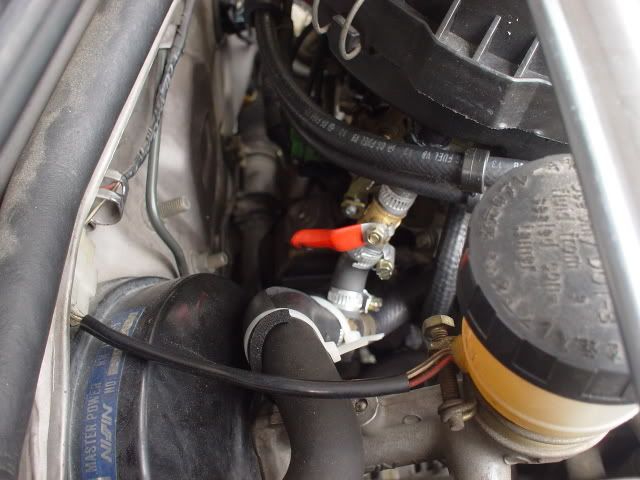 DSC03481.jpg
