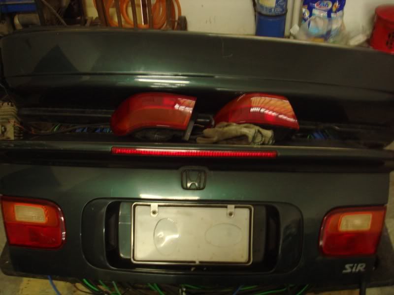 DSC05040.jpg