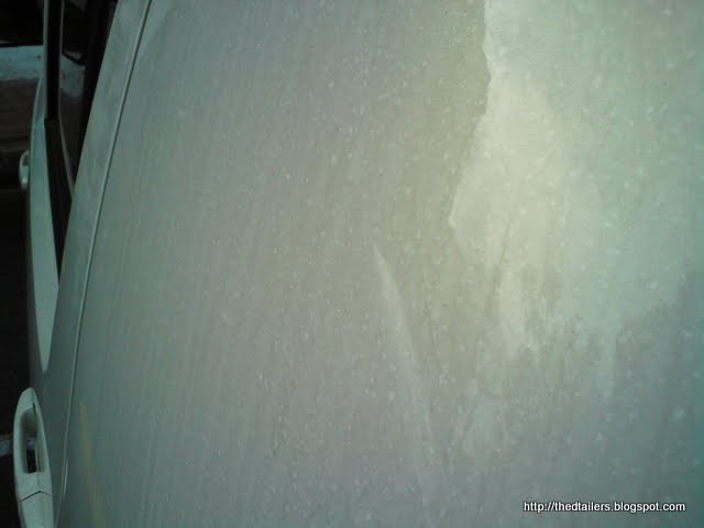 DSC08414.jpg