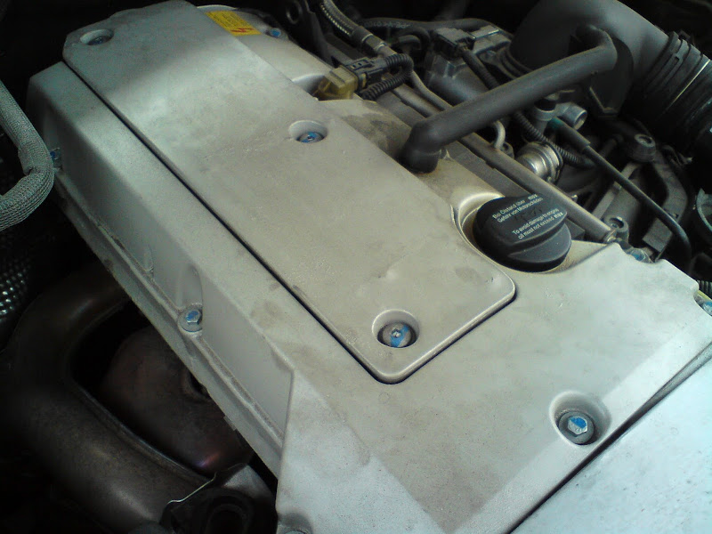 DSC08572.jpg
