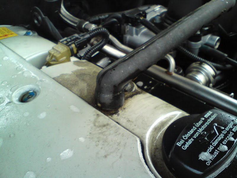 DSC08580.jpg