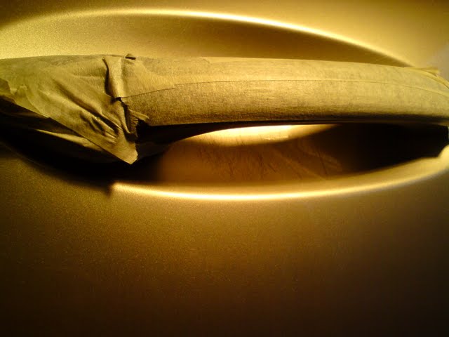 DSC08656.jpg