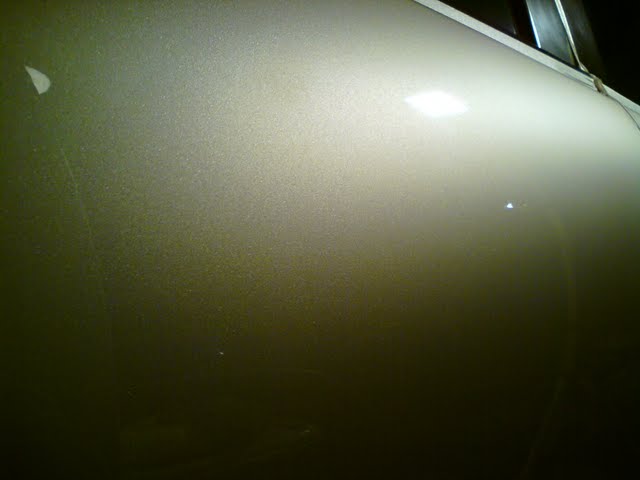 DSC08678.jpg