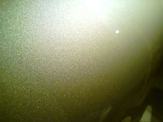 DSC08681.jpg