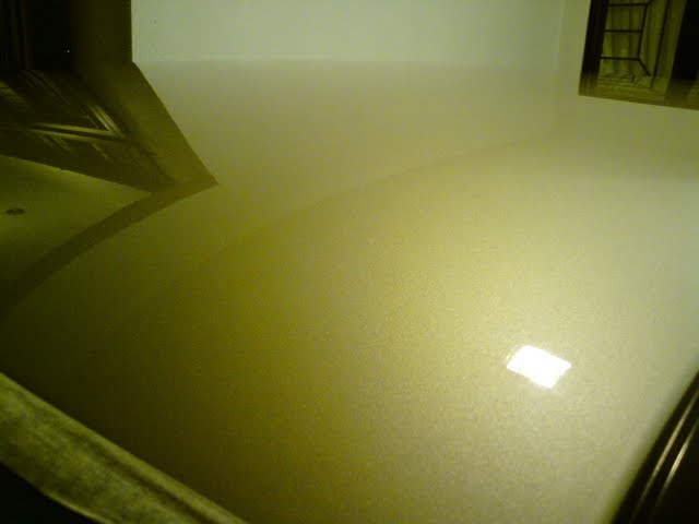 DSC08700.jpg
