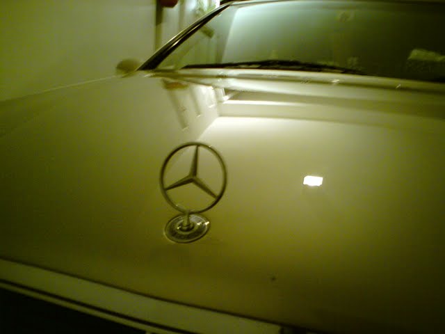 DSC08711.jpg