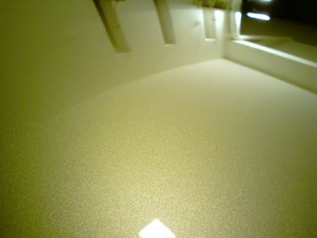 DSC08725.jpg
