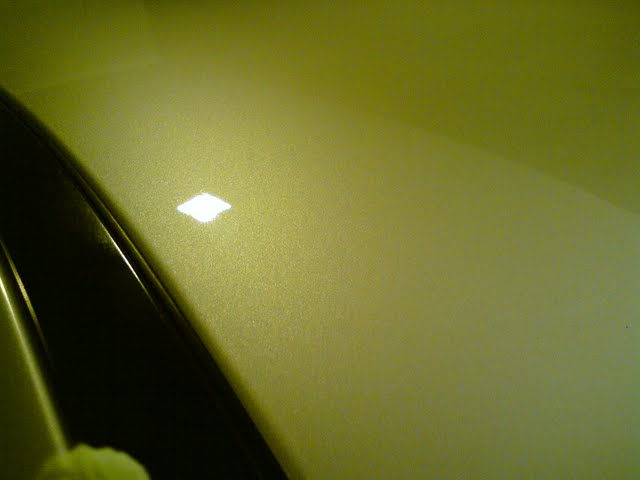 DSC08729.jpg