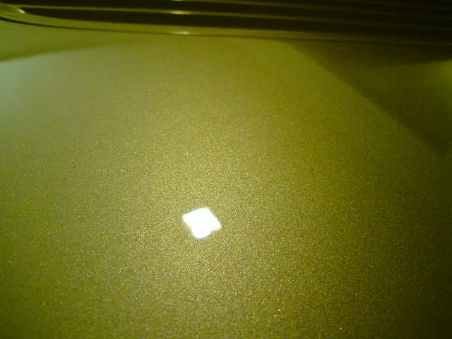 DSC08745.jpg