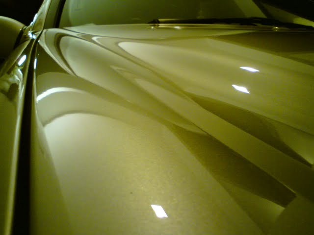 DSC08748.jpg