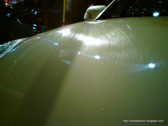 DSC09938.jpg
