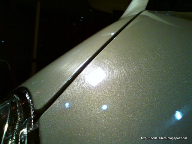 DSC09947.jpg