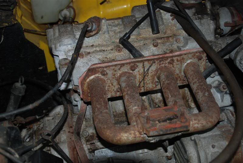 DSC_0401Medium.jpg