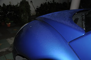DSC_0594.jpg