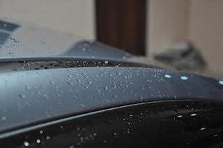 DSC_0600.jpg