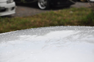 DSC_0699.jpg