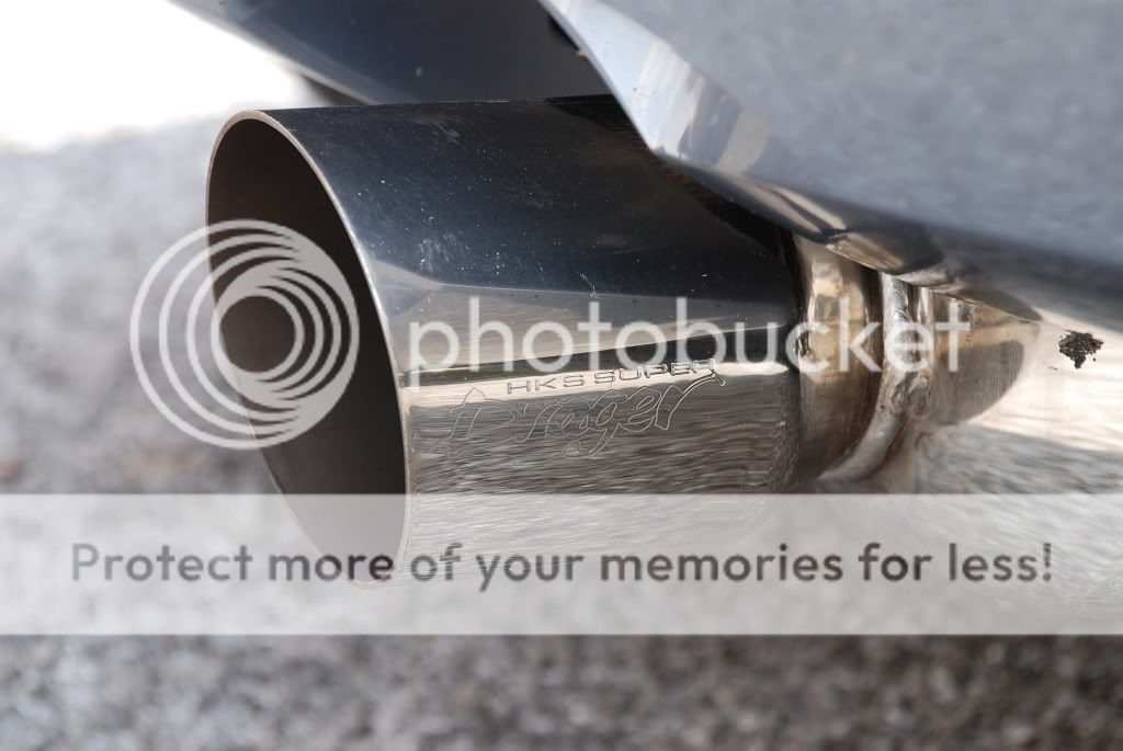 DSC_0747s.jpg