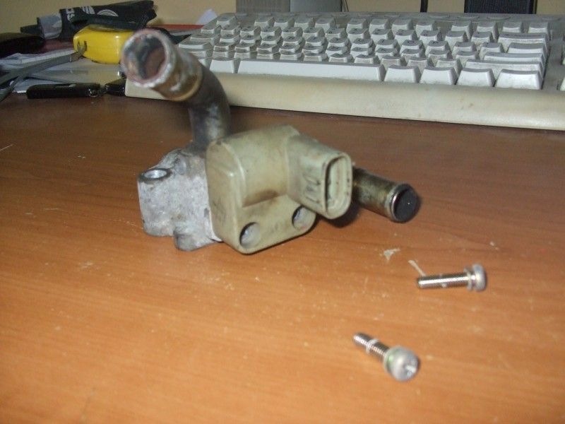 DSCF7355.jpg