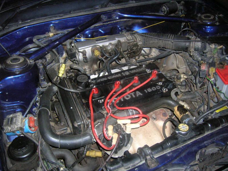 DSCN0444.jpg