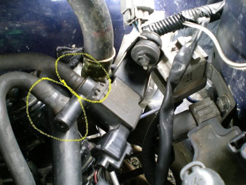 DSCN0825.jpg
