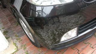 DSCN2073.jpg
