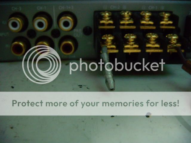 DSCN2369.jpg