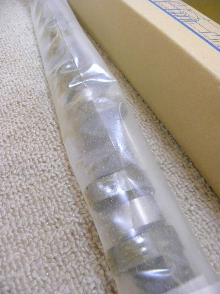 DSCN2632.jpg
