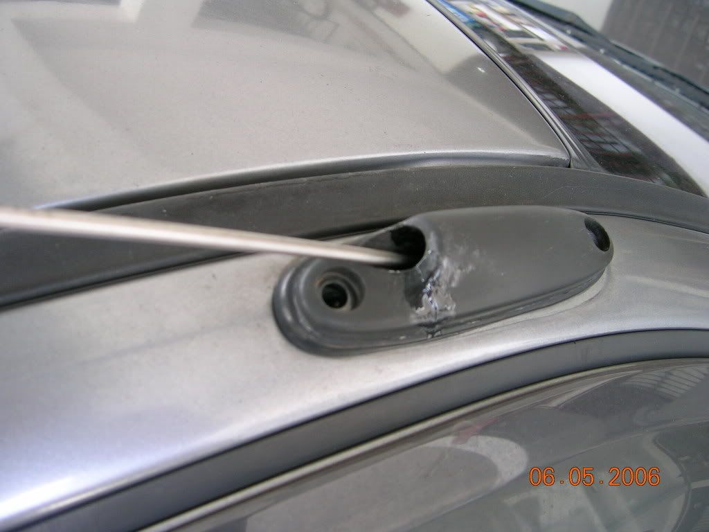 DSCN3253.jpg