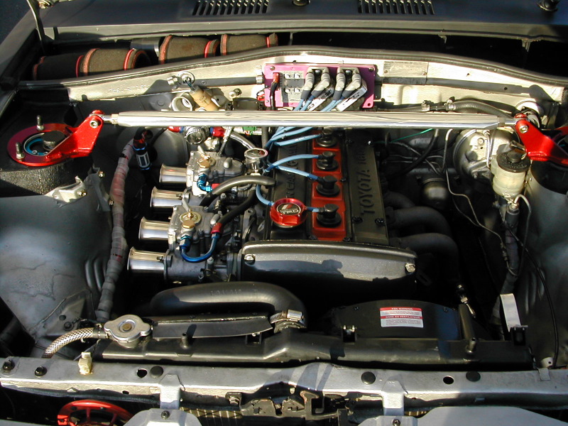 dscn3708_starlet's_4age.jpg