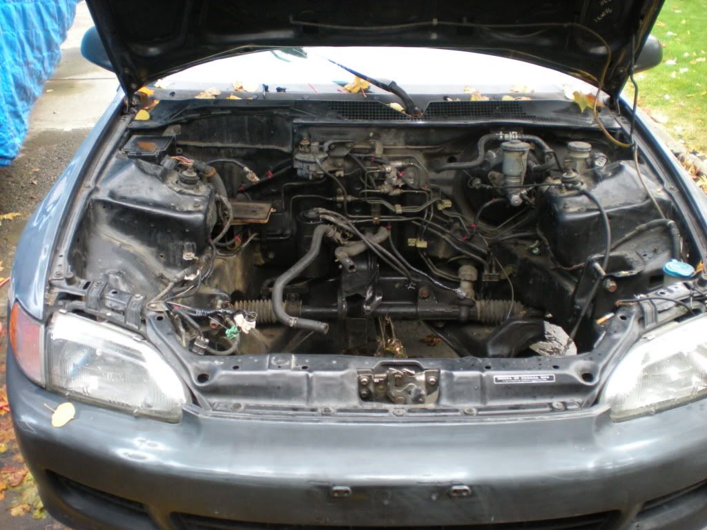 DSCN3844.jpg