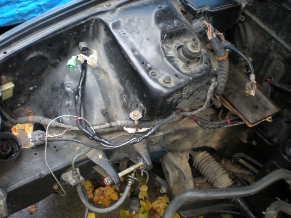 DSCN3846.jpg