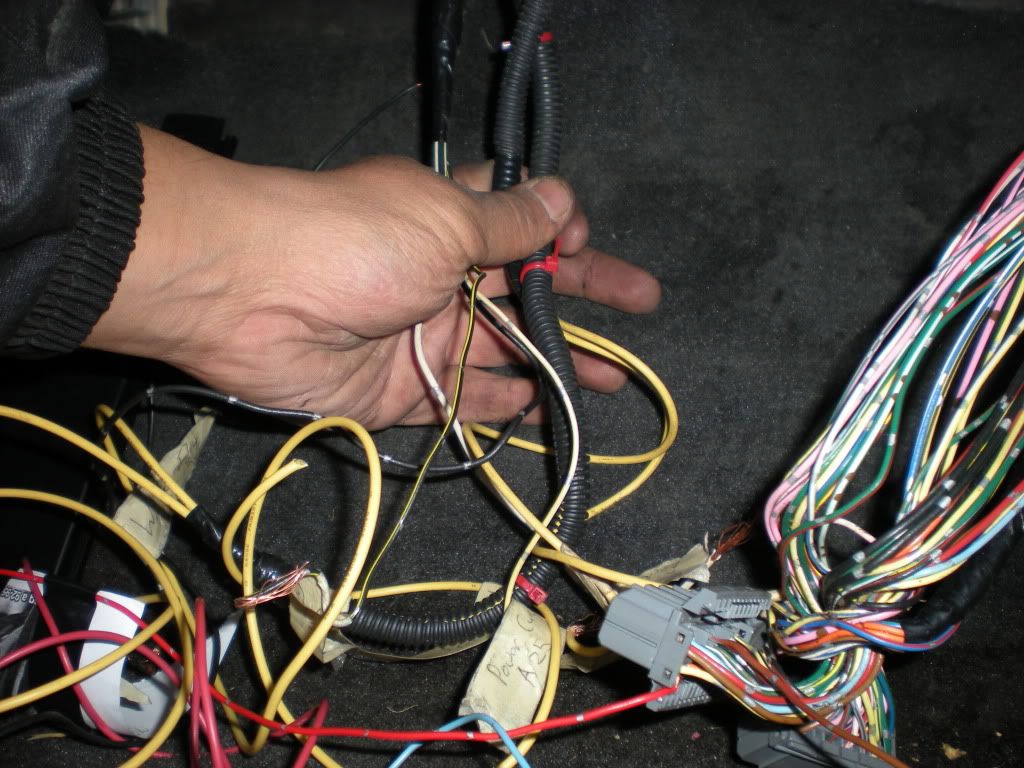 DSCN3848.jpg
