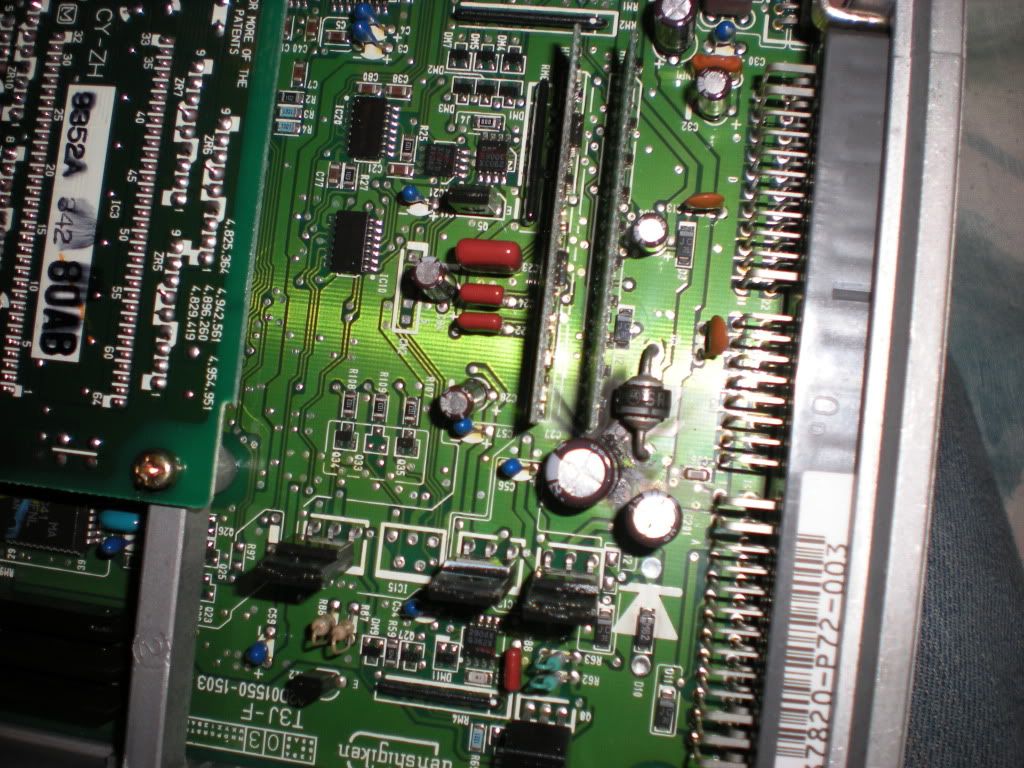 DSCN3875.jpg