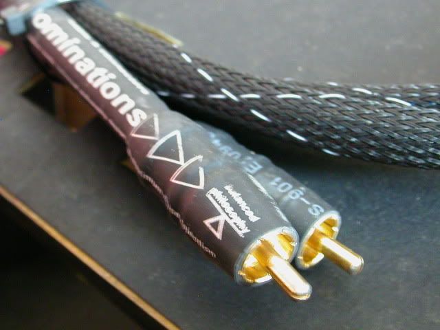 DSCN4281.jpg